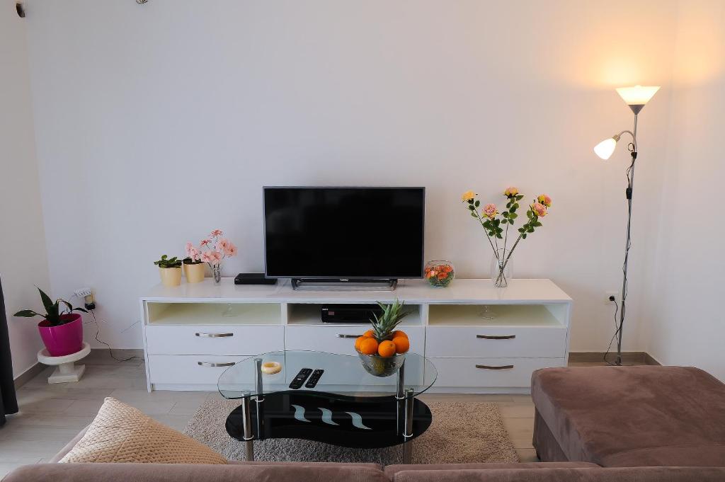 TV a/nebo společenská místnost v ubytování Apartment Petar