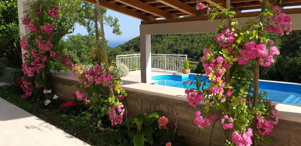 einen Garten mit rosa Blumen und einem Pool in der Unterkunft Mediterranean stone house in Babino Polje