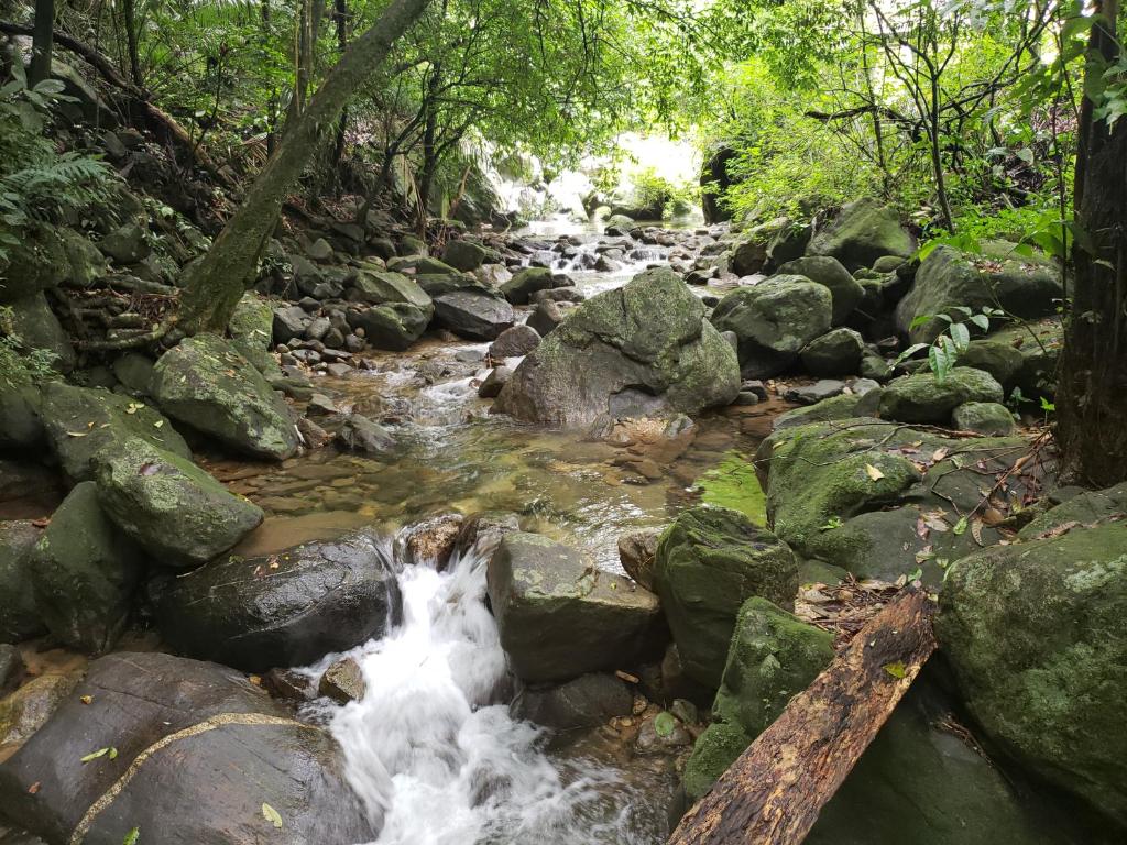  Pousada Lírio Verde