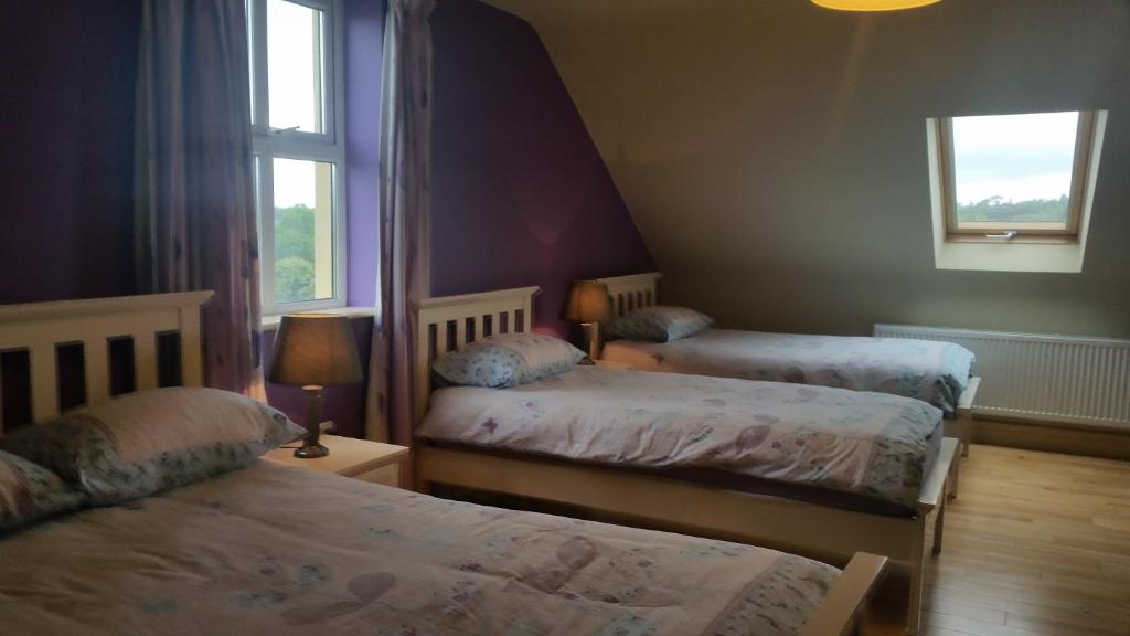 a bedroom with two beds and a window at Whitethorn Lodge, Bed & Breakfast, Lackafinna in Cong