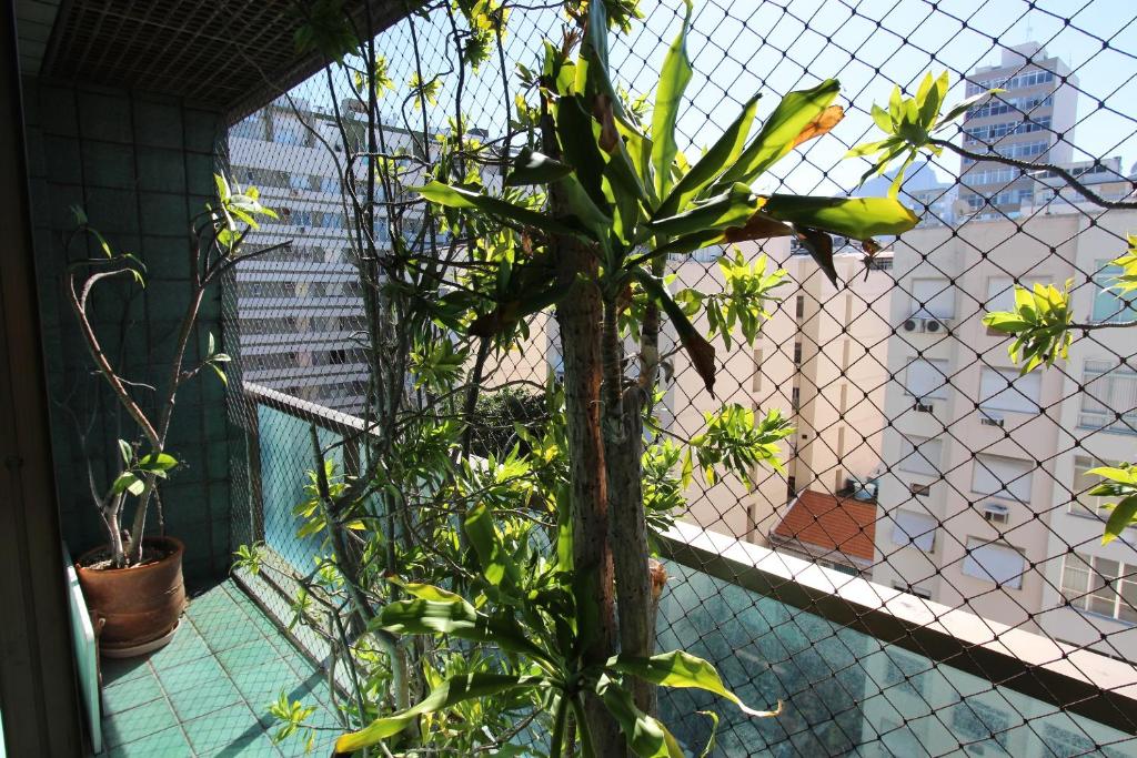  Tiffany's Ipanema 4MAD