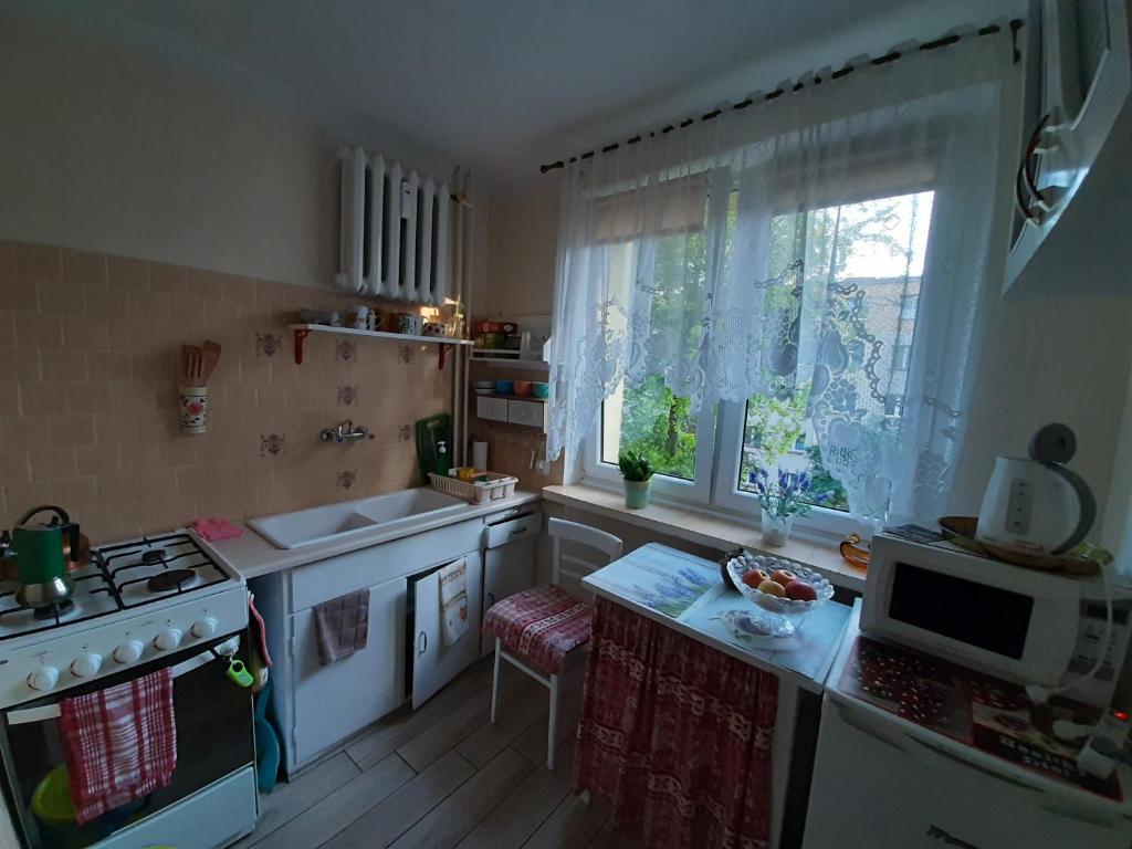 kuchnia z kuchenką, umywalką i oknem w obiekcie Zacisze w mieście Białystok