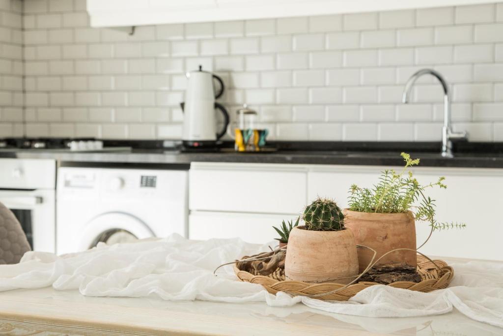 A kitchen or kitchenette at Cedrus Suites
