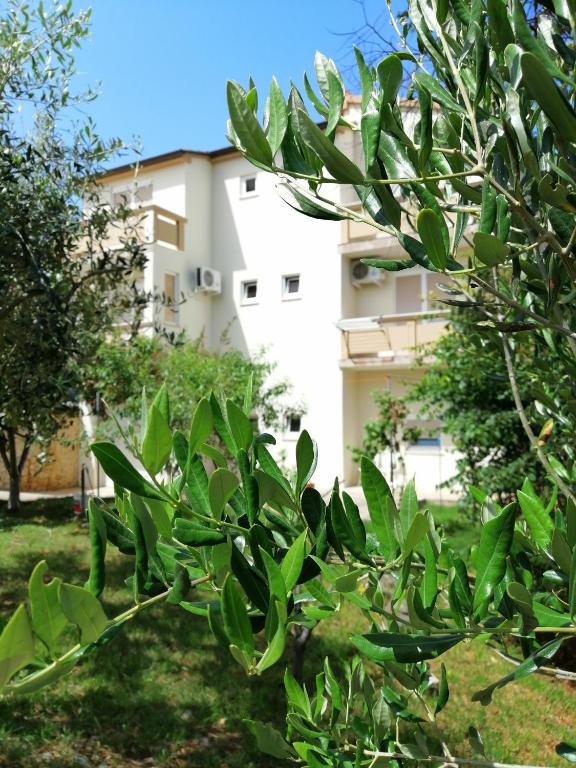 Zahrada ubytování Apartments Monika Nin