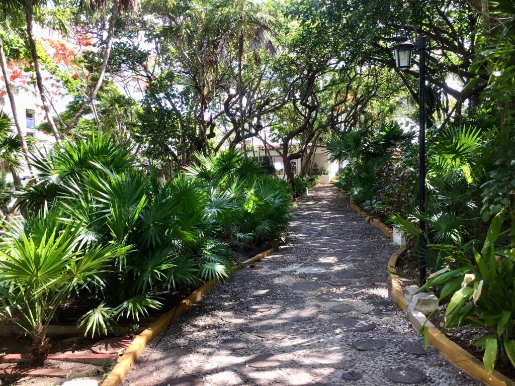 Zahrada ubytování Hotel Maya Caribe Faranda Cancún