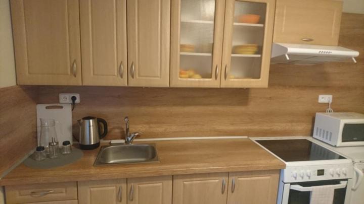 Kuchyň nebo kuchyňský kout v ubytování Business apartmán