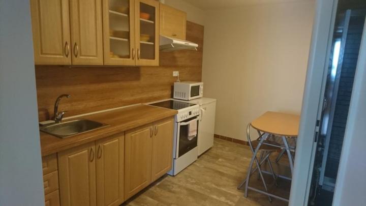 Kuchyň nebo kuchyňský kout v ubytování Business apartmán