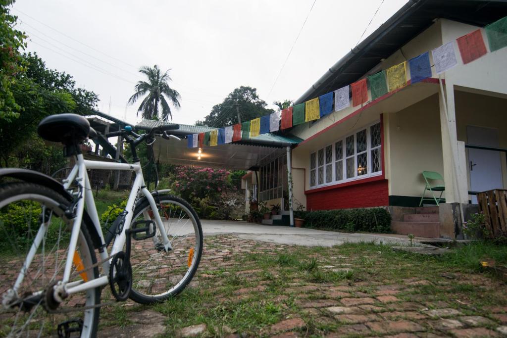 Jízda na kole v ubytování Gibbon Backpackers Hostel nebo okolí