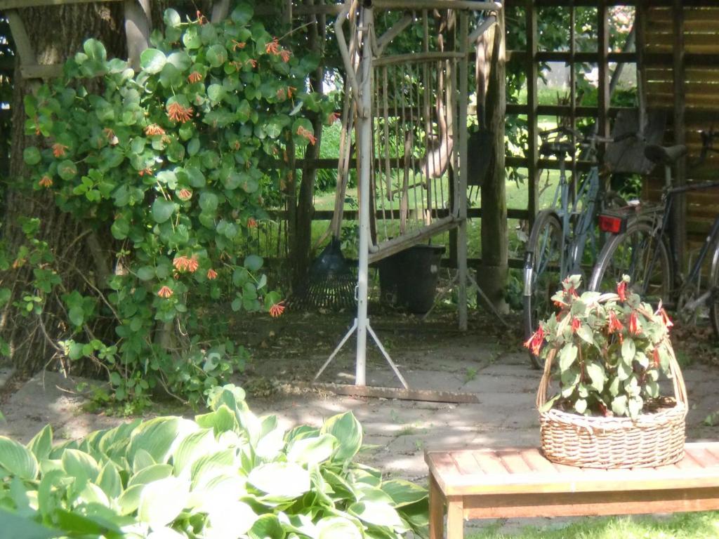 Zahrada ubytování Trollhättans Bed and Breakfast