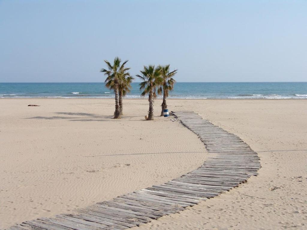 einen Weg am Strand mit Palmen und dem Meer in der Unterkunft CARROS 19 in Vilanova i la Geltrú