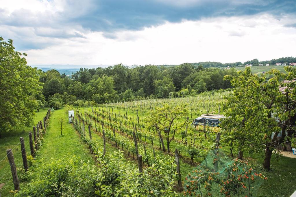 Paesaggio naturale nelle vicinanze dell'appartamento