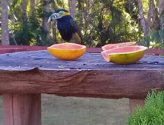  Pousada Vista Pedra Azul