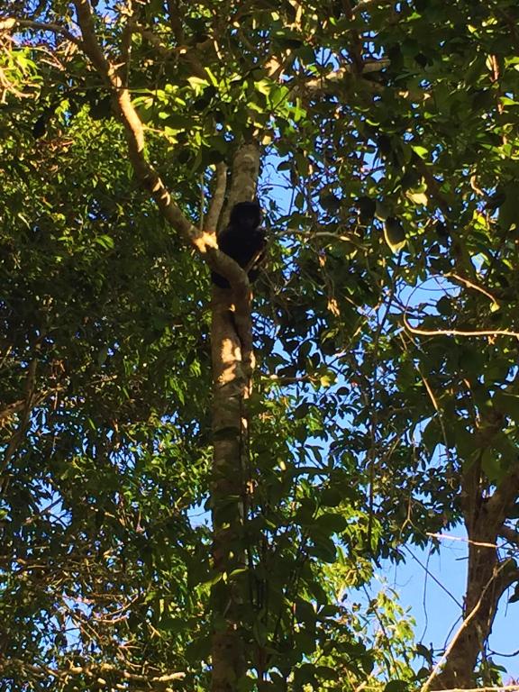  Pousada Vista Pedra Azul