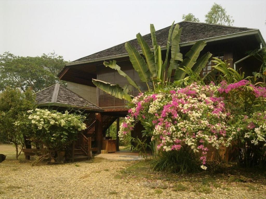 Zahrada ubytování Bed & Breakfast Chiang Rai