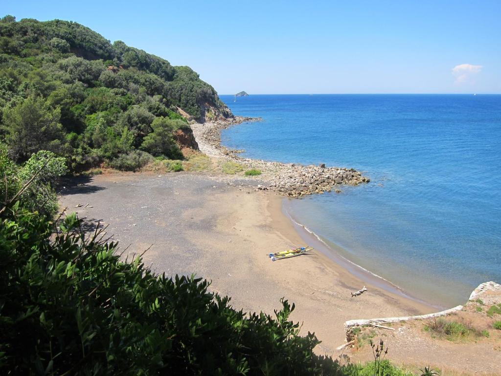 widok na plażę z drzewami i ocean w obiekcie B&B Capo Pero w mieście Rio Marina