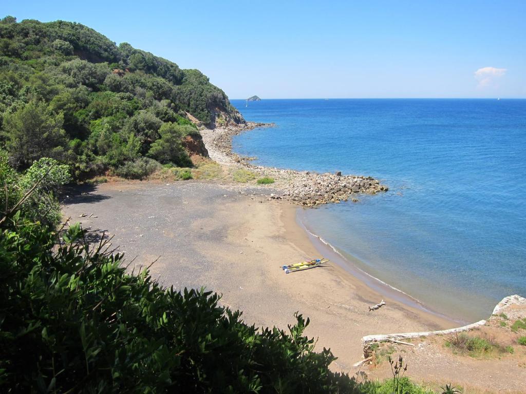 a view of a beach with trees and the ocean at B&B Capo Pero in Rio Marina