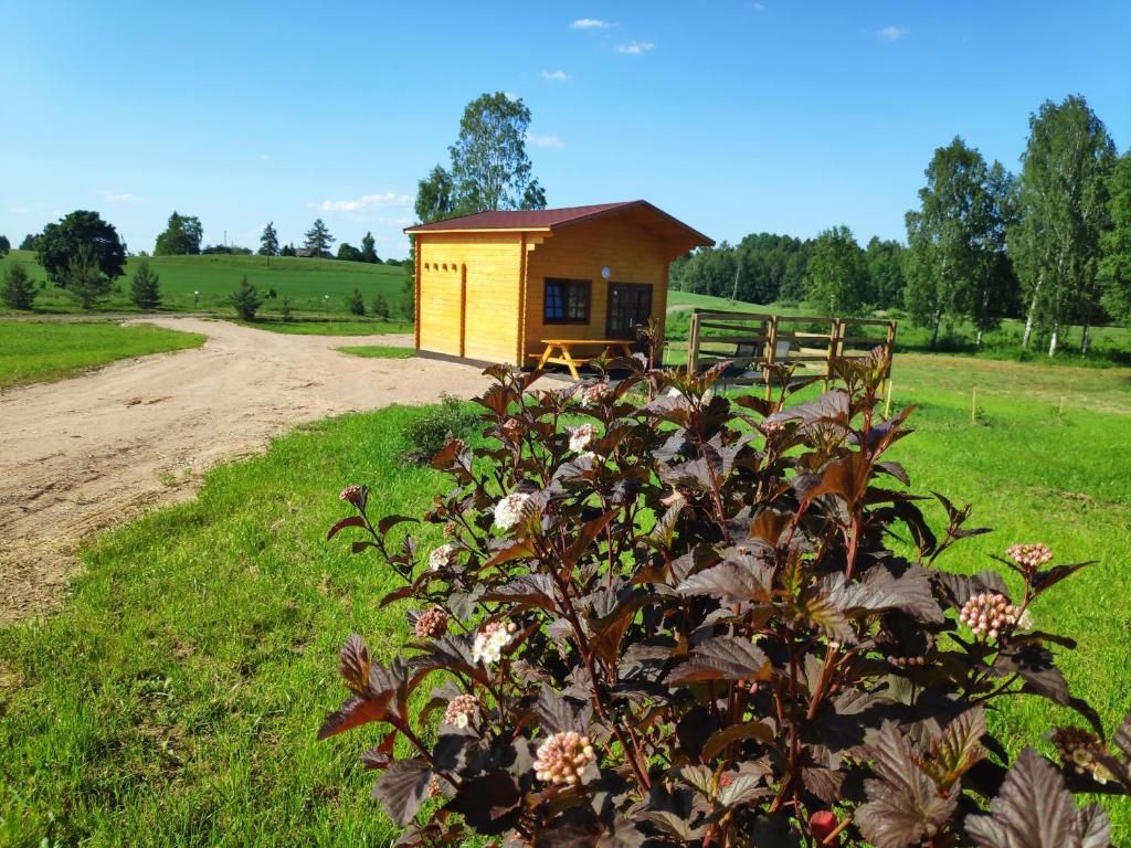 uma pequena casa amarela ao lado de uma estrada de terra em Žubites - 3 em Bērzgale