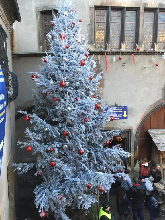 Residence du Galtz – photo 34