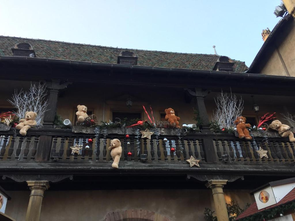 Residence du Galtz – photo 38