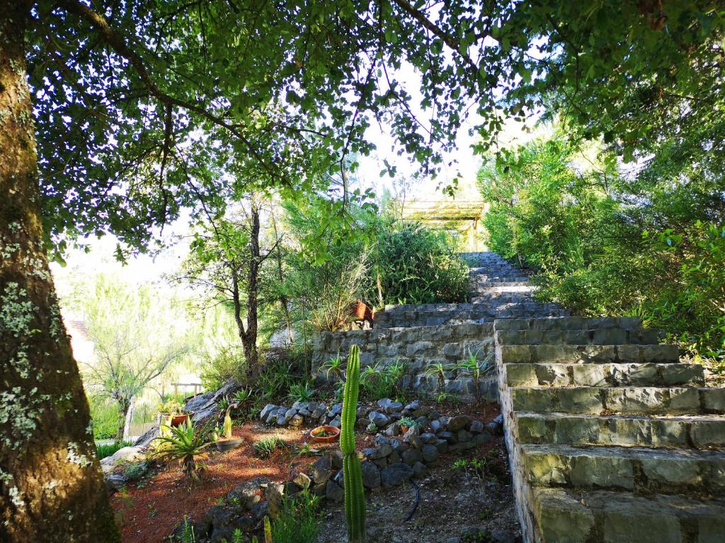 Um jardim no exterior de Cantinho do Lucas