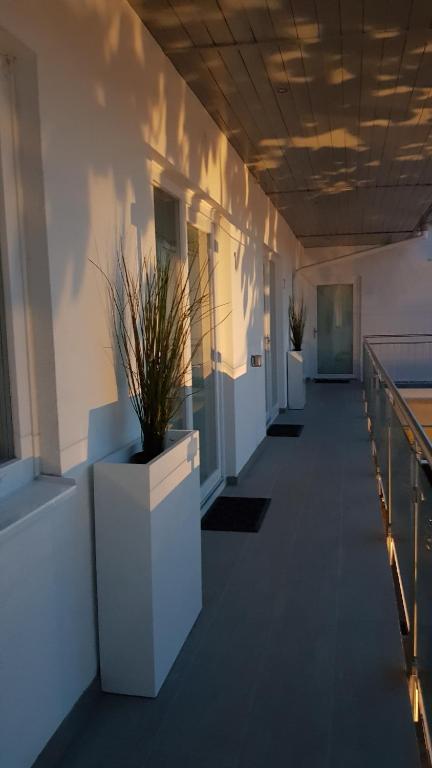 un corridoio di un edificio con una pianta in vaso di Seesuiten Mörbisch a Mörbisch am See