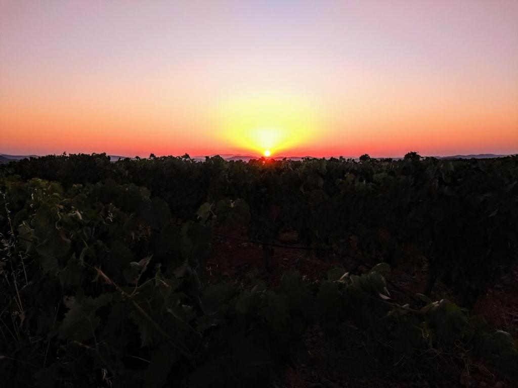 una puesta de sol sobre un campo con la puesta de sol en VEN GAVINO en Ibdes