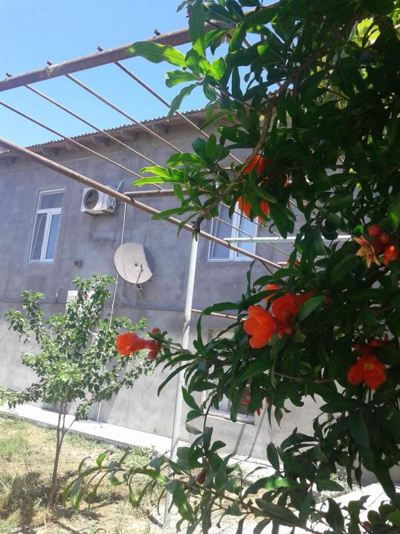 a house with a window and a tree with flowers at Guest house near Baku airport in Baku