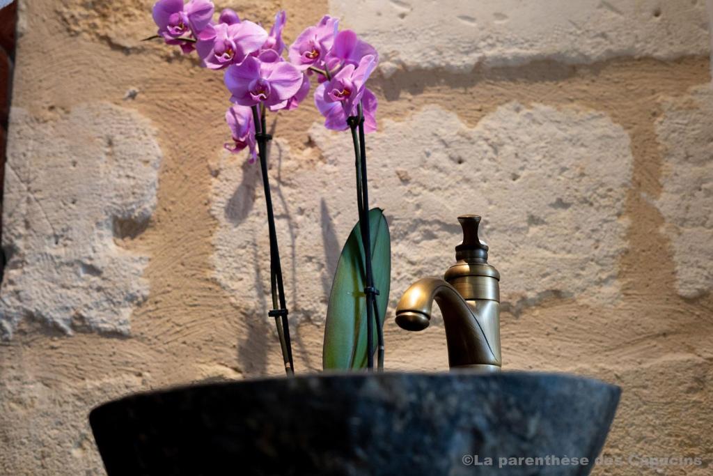 La Parenthèse des Capucins - Maison d'hôtes Bordeaux - 16