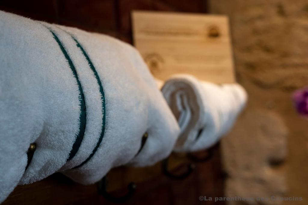 La Parenthèse des Capucins - Maison d'hôtes Bordeaux - 18