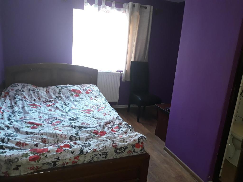 Postel nebo postele na pokoji v ubytování Pensiunea Red Rock