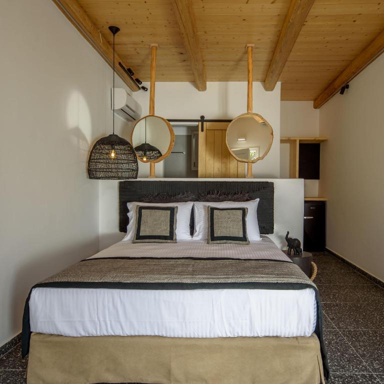 Olive Mykonos Villas - 带游泳池的公寓