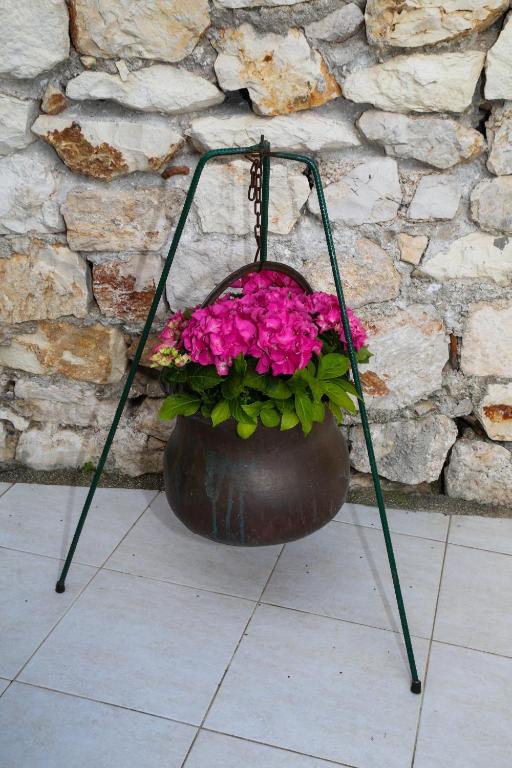 Fotografie z fotogalerie ubytování Apartments Seka v destinaci Hvar