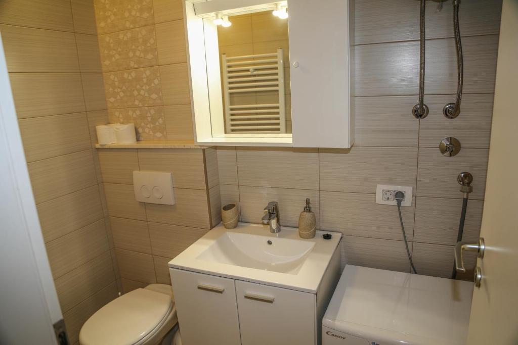 Koupelna v ubytování Apartments Seka