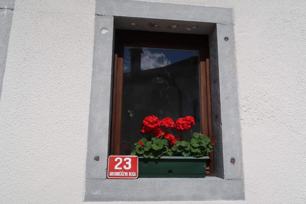 Fotografie z fotogalerie ubytování Premium Hostel Kobarid v destinaci Kobarid