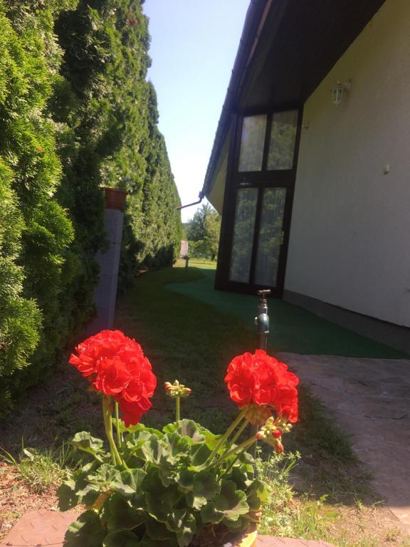Zahrada ubytování Marta Guest House