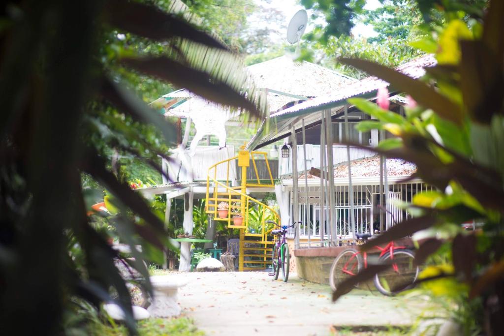 Zahrada ubytování Madre Selva Hostel