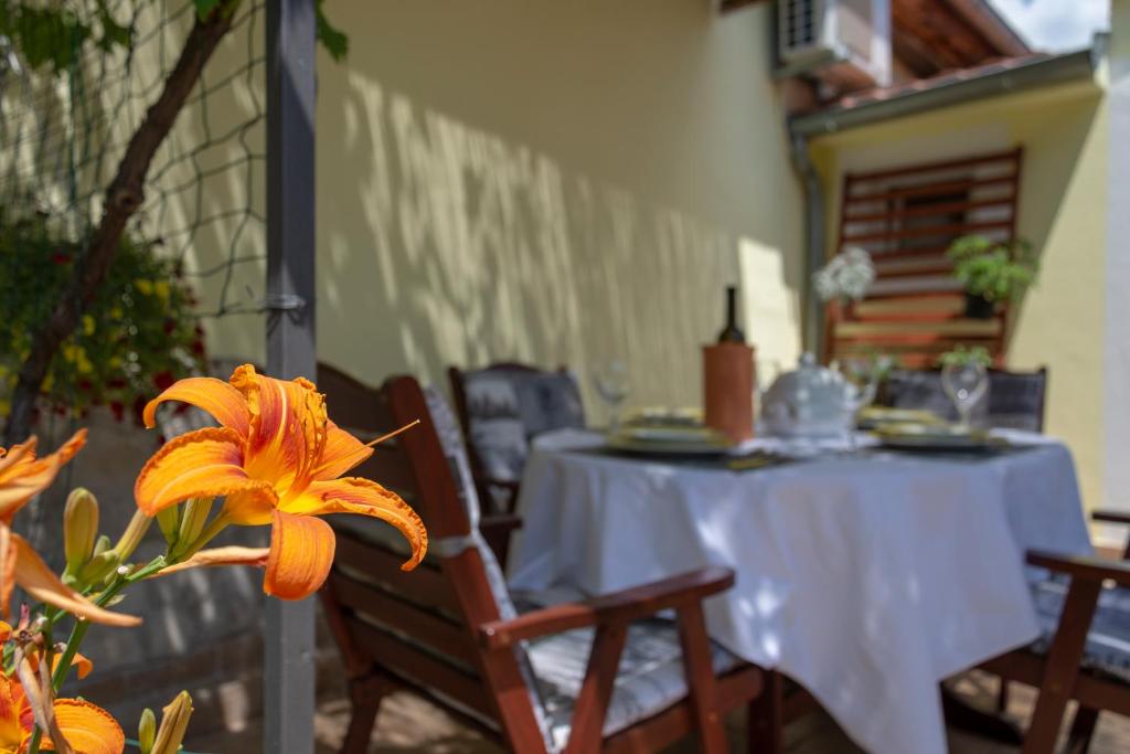 Fotografie z fotogalerie ubytování Mediterranean terrace apartment with Bikes & SUP v destinaci Skradin