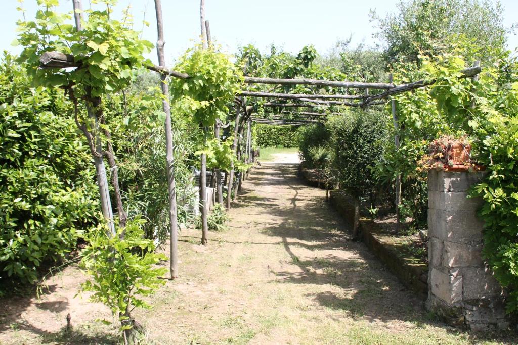 Zahrada ubytování Agriturismo Piccolo Paradiso