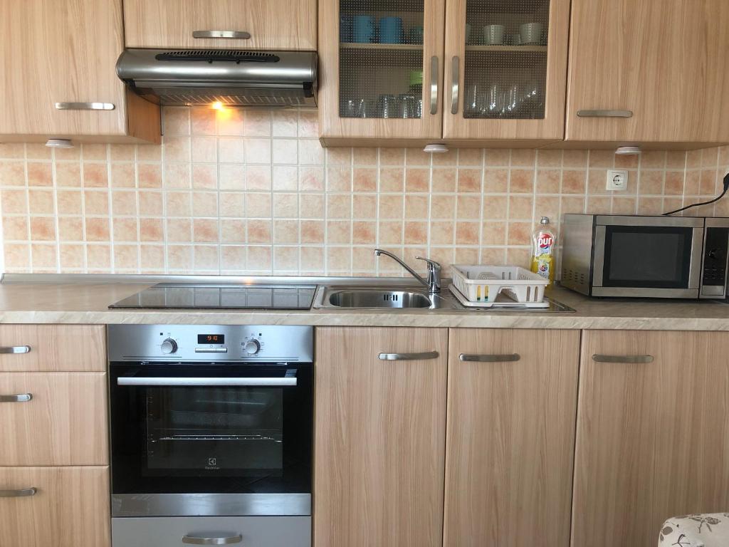 Kuchyň nebo kuchyňský kout v ubytování Apartment Laura