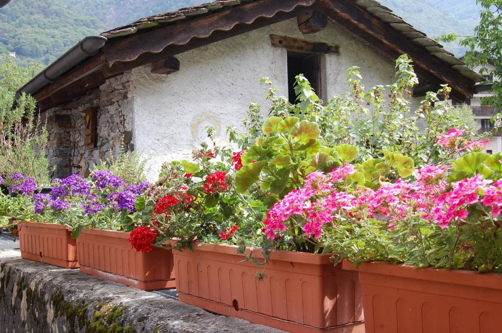 Zahrada ubytování B&B Al Mulino