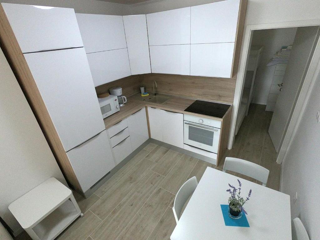 Kuchyň nebo kuchyňský kout v ubytování Apartman Matej -Selce