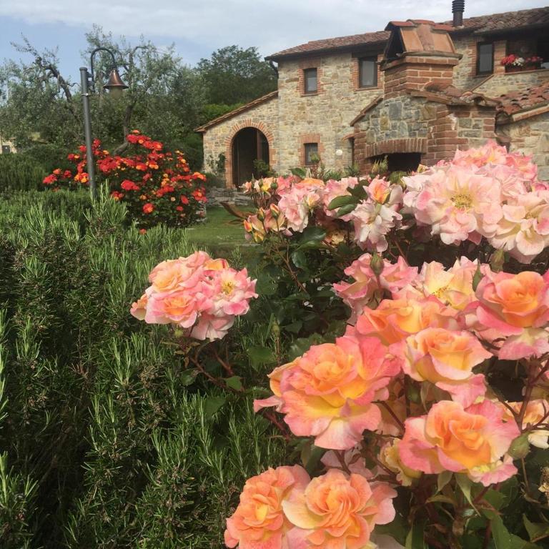 Agriturismo Valiana - Housity
