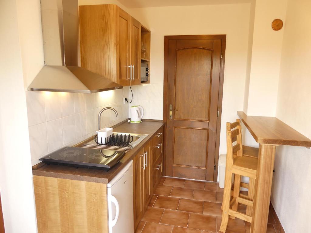 Kuchyň nebo kuchyňský kout v ubytování Apartmány Turold Mikulov