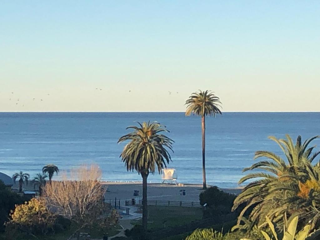 uma vista para uma praia com palmeiras e para o oceano em Moonlight Beach Motel em Encinitas