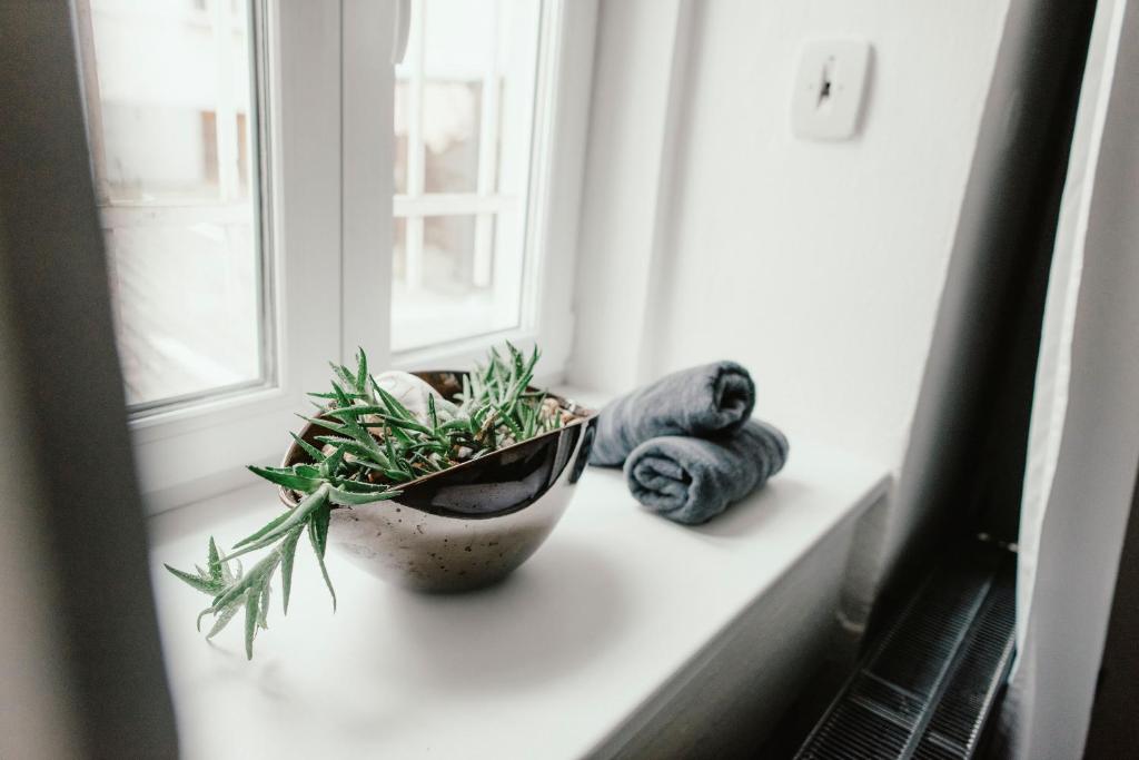 Foto dalla galleria di Wake Up Wellness Hostel a Brno