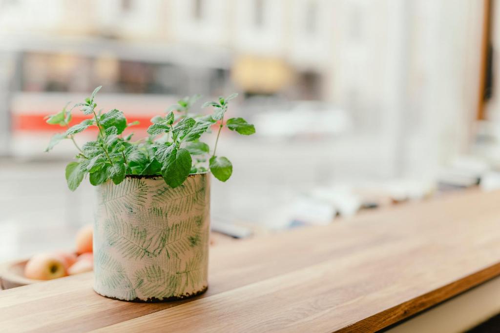 Foto dalla galleria di Wake Up Wellness Hostel a Brno