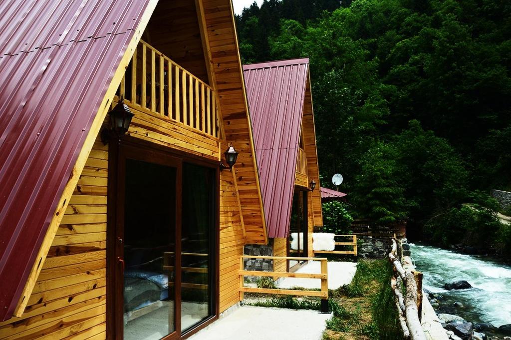 Příroda nedaleko hotelu