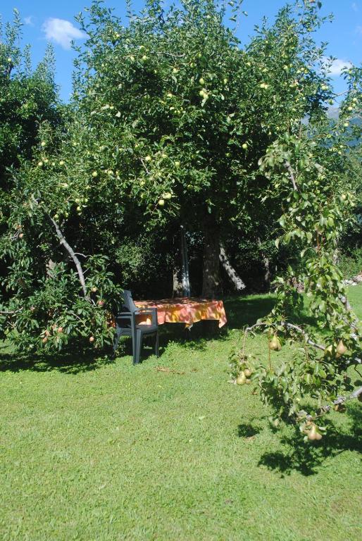 Zahrada ubytování Pension Etschland