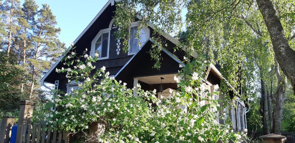 Соседи Пушкина - отзывы и видео