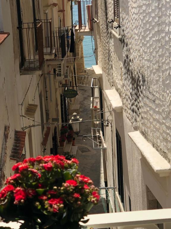 an alley with red flowers on the side of a building at Estlevante B&B in Vieste